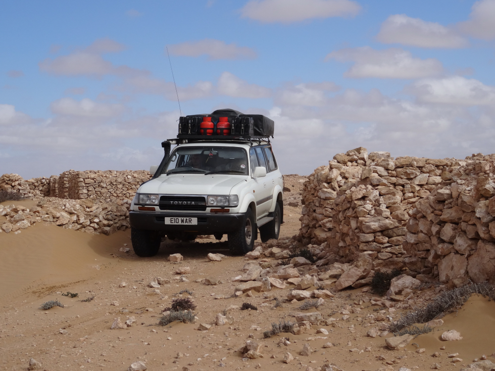 w sahara